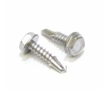 SS Screws
