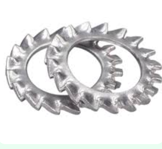 External Tooth Lock Washers
