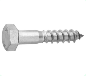 Coach Screw