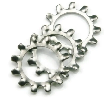 External Tooth Lock Washers