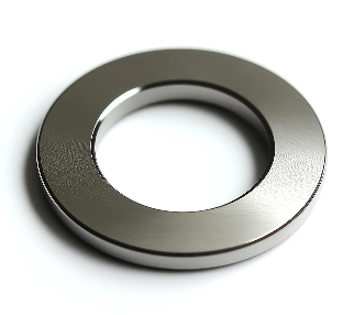Hastelloy Plain Washer